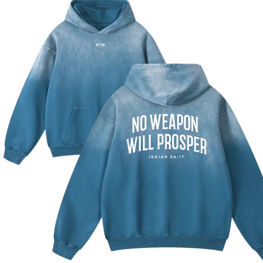 Heavyweight Sunfade Oversized Hoodie