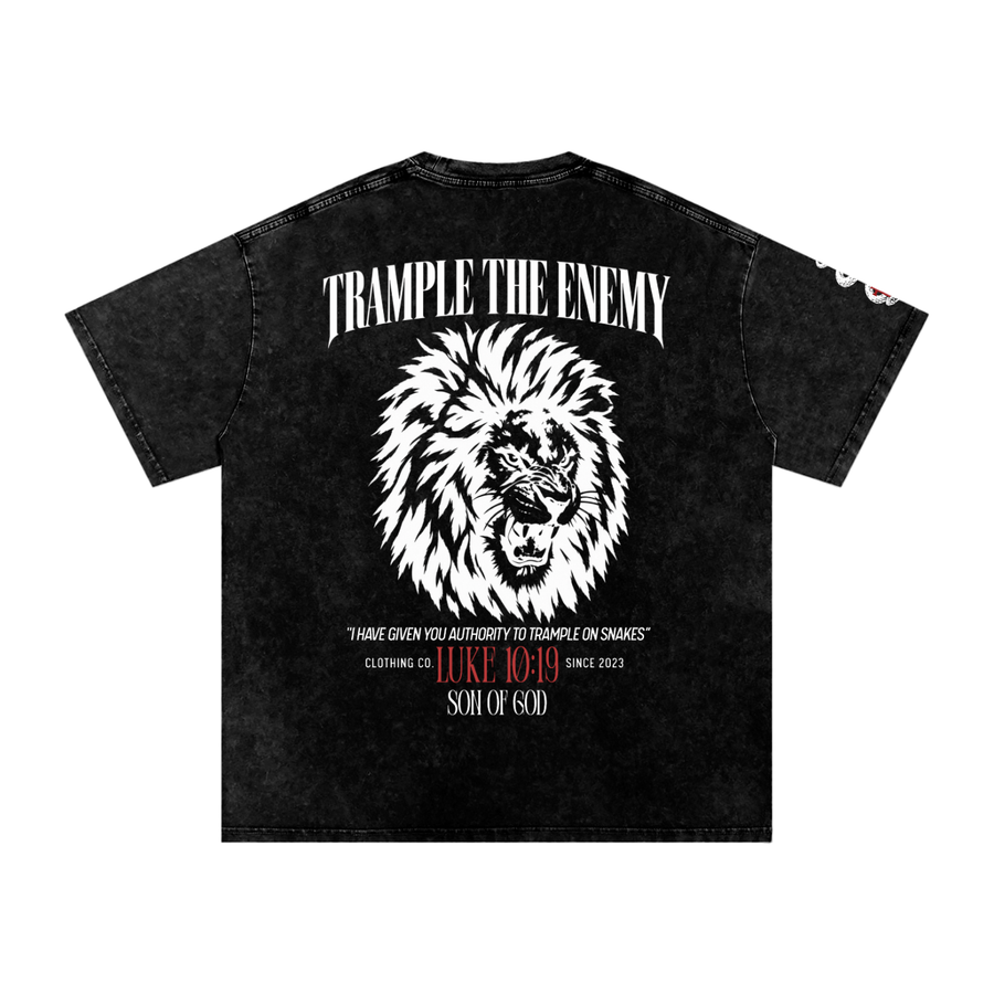 Trample The Enemy Snow Washed Tee — alternate view