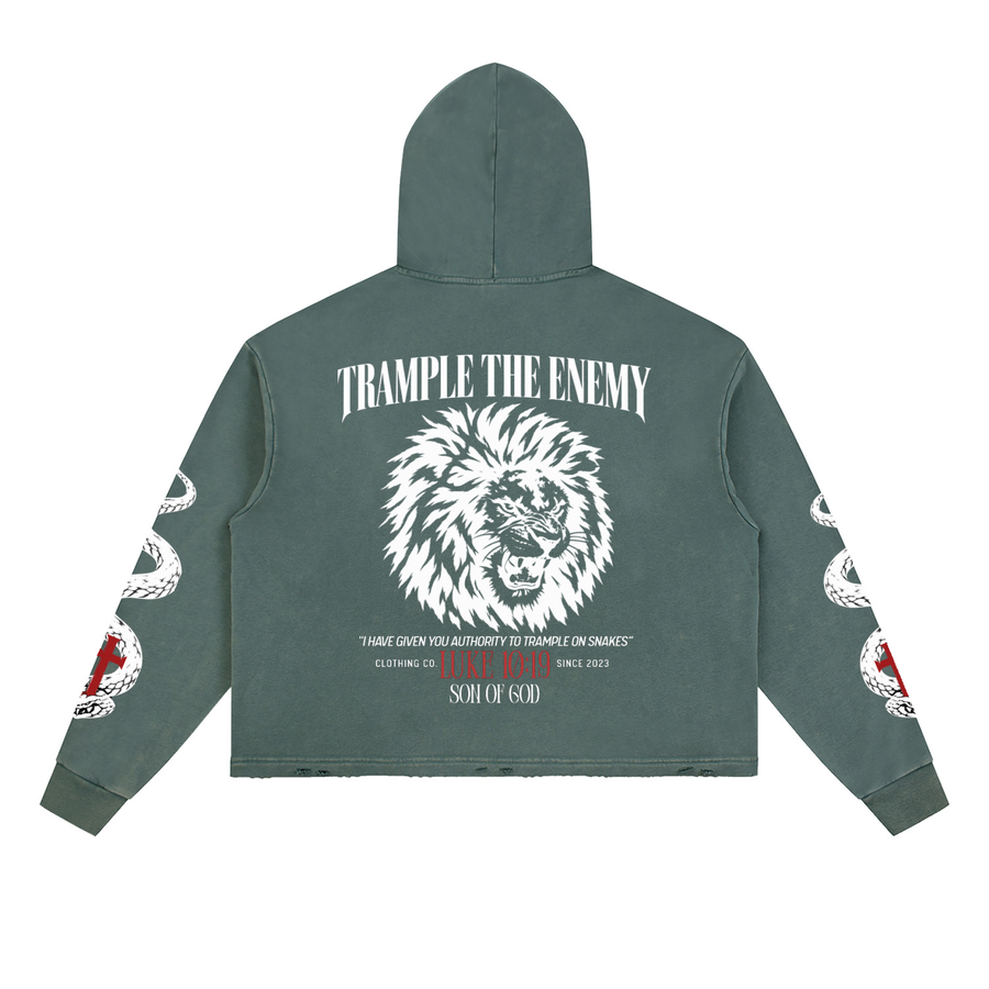 Trample The Enemy Vintage Washed Hoodie — alternate view