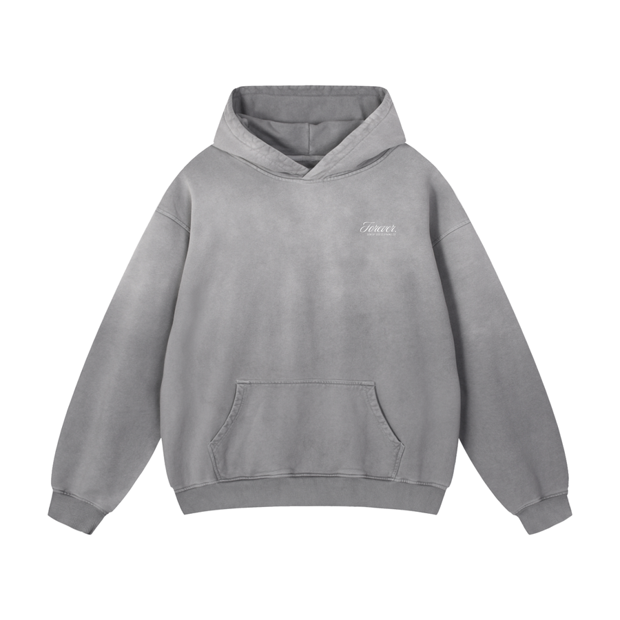 Forever Sunfade Hoodie — alternate view
